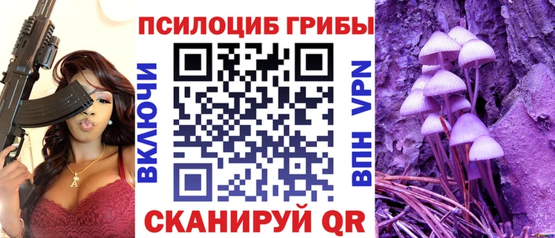 Псилоцибиновые грибы Psilocybine cubensis  Закаменск 